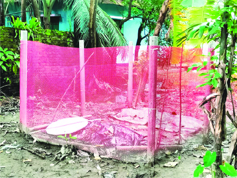 Image of মো: আবু বকর ছিদ্দিক
